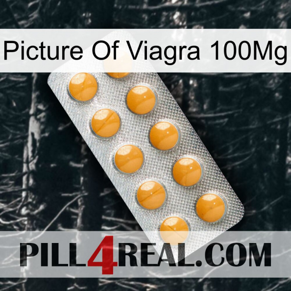 Picture Of Viagra 100Mg levitra1.jpg